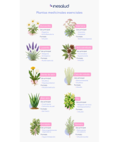 NOFLASOR 28COMP – foto del producto extracto estabilizante celulosa