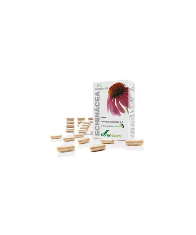 CAP S 16 ECHINACEA XXI 30CAP – foto del producto echinacea purpurea 300 CAP S 16 ECHINACEA XXI 30CAP – foto del producto echinacea purpurea 300