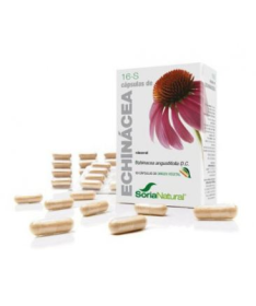 CAP S 16 ECHINACEA XXI 30CAP – foto del producto echinacea purpurea 300
