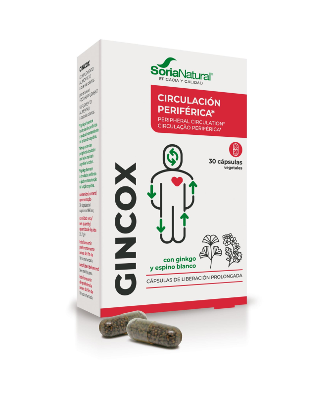 GINCOX 30 CAP – foto del producto cápsula extracto ginkgo GINCOX 30 CAP – foto del producto cápsula extracto ginkgo