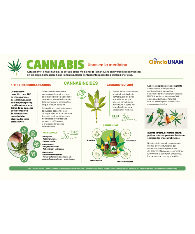 CANNALGES 30CAP – foto del producto vitamina aceite semillas