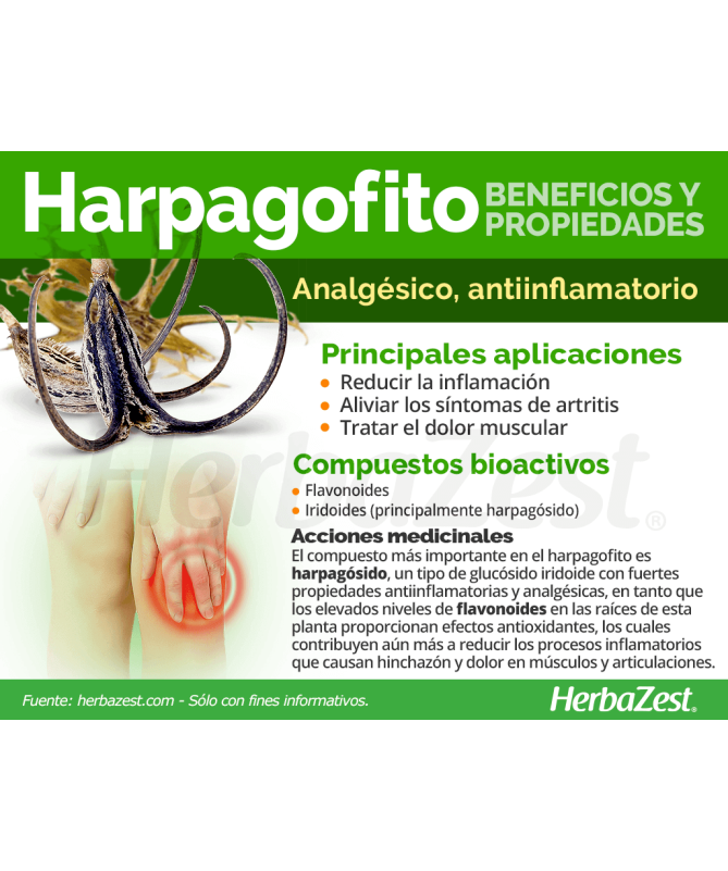 HARPAGOFITO 30CAP ELEMENTALES – foto del producto harpagofito raíz 30cap