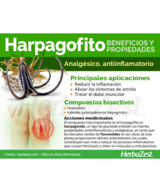 HARPAGOFITO 30CAP ELEMENTALES – foto del producto harpagofito raíz 30cap