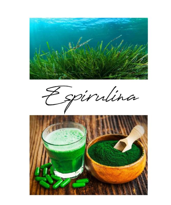 ESPIRULINA 60CAP ELEMENTALES – foto del producto espirulina 60cap elementales