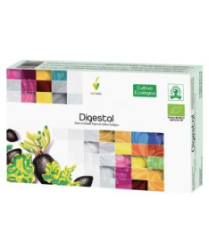 DIGESTAL 20AMP – foto del producto digestal 20amp ampolla