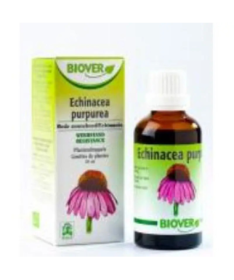 EXT ECHINACEA 50ML BOTANICAL BIO – foto del producto echinacea bio ext