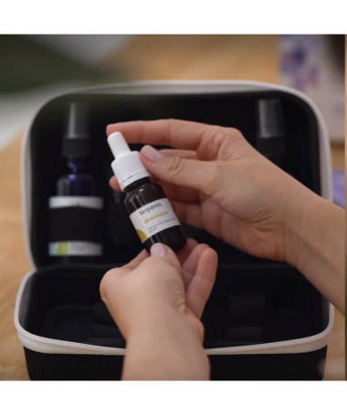 KIT DIY VETERINARIA – foto del producto kit diy veterinaria