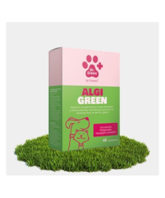 ALGIGREEN PERROS Y GATOS 48COMP – foto del producto vitamina boswellia algigreen