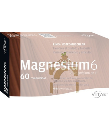 MAGNESIUM 6 20COMP – foto del producto magnesium 20comp cápsulas
