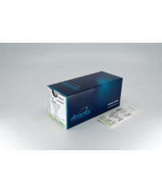 NYLON 2/0 AG.TRIANGULAR RECTA 60MM H75CM NEGRO 12U